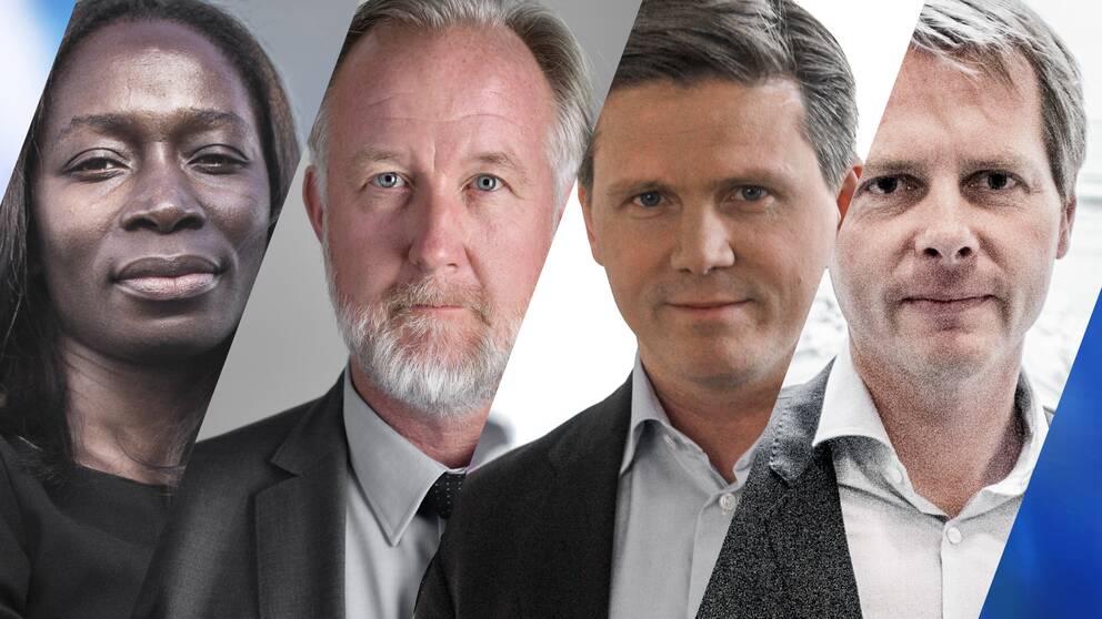 Nyamko Sabuni, Johan Pehrson, Erik Ullberg och Christer Nylander som alla är potentiella efterträdare till Liberalernas partiledare Jan Björklund.