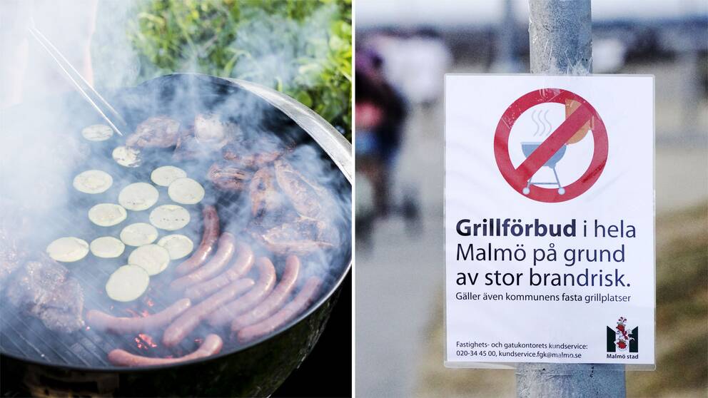 Vissa län gick för långt när de förra sommaren införde totalt eldningsförbud, konstaterar Myndigheten för samhällsskydd och beredskap, MSB. Arkivbilder.
