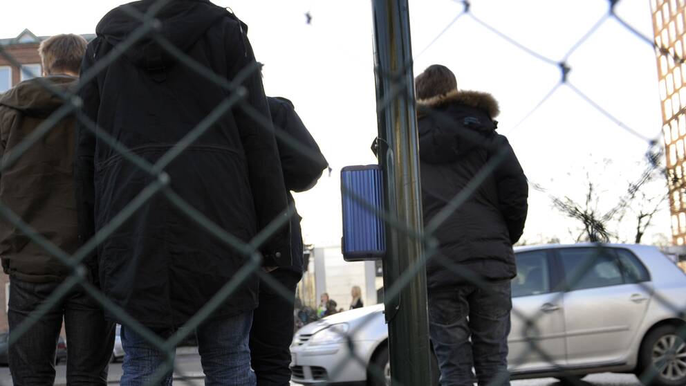 Ryggar av tonårskillar i jackor