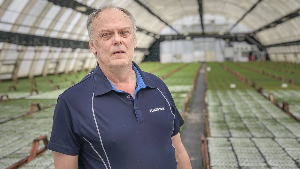 Roger Larm, plantskolechef vid Holmen i Iggesund.