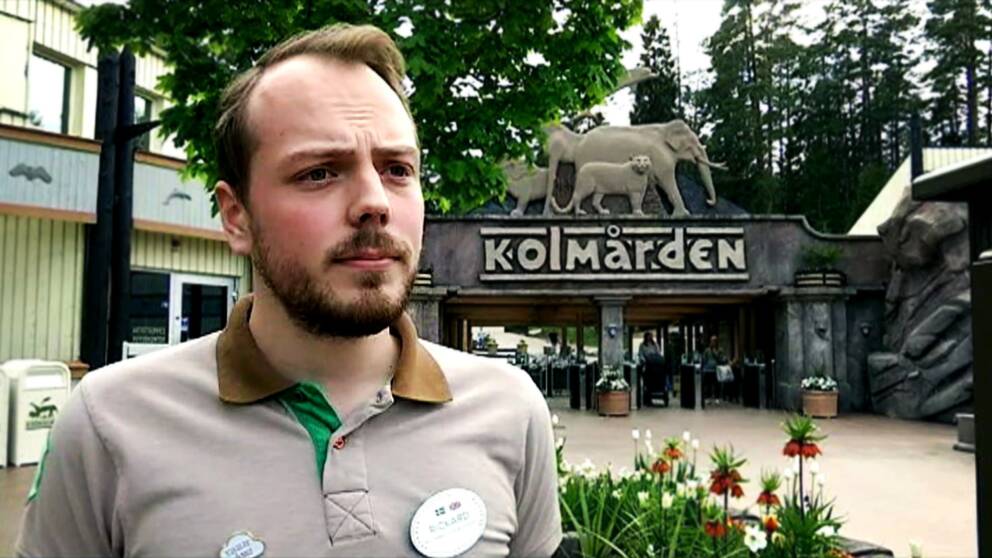 Rickard Sjödén, pressansvarig på Kolmårdens djurpark.