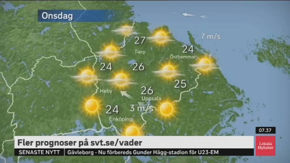 Ladda ner svart kön videor