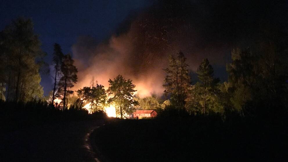 En stor brand ute i en mörk skog.