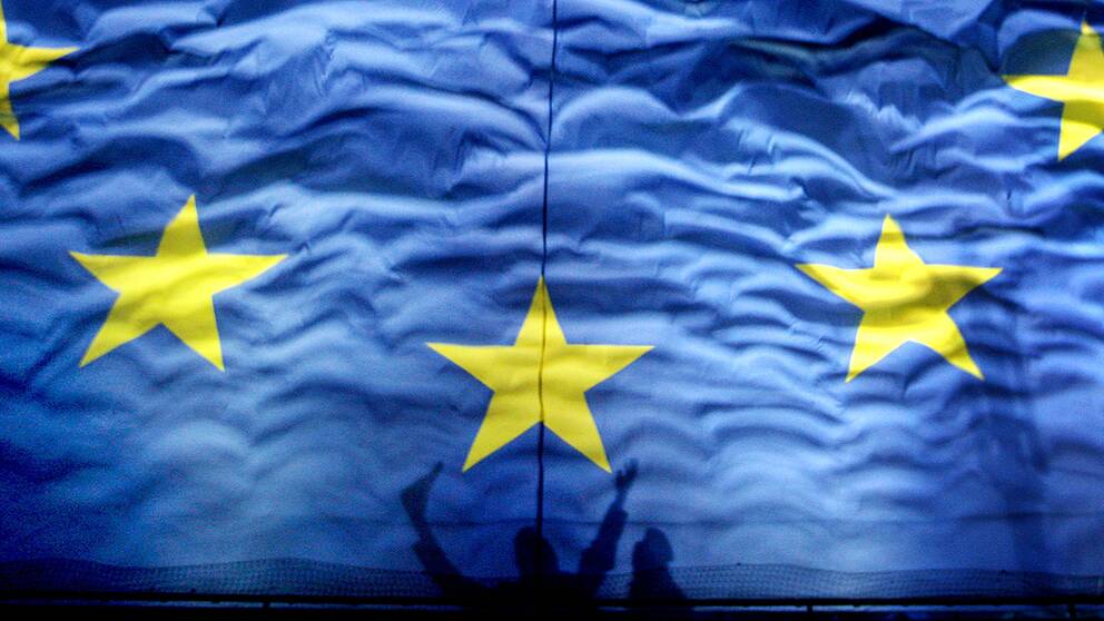 EU-flagga