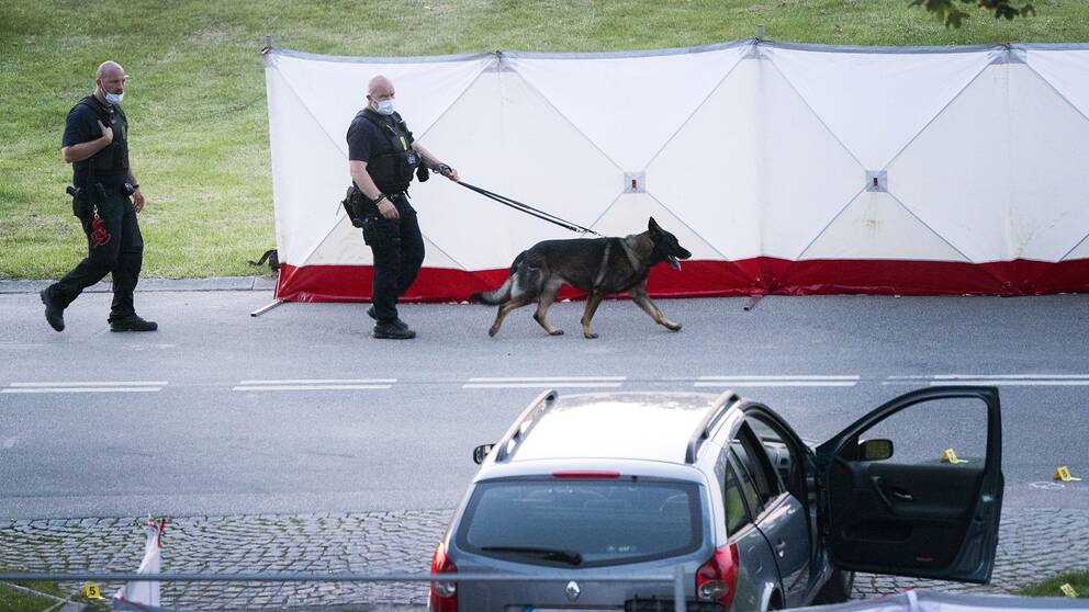 Polis och kriminaltekniker på plats efter att två människor skjutits ihjäl i en svenskregistrerad bil i Köpenhamnsförorten Herlev på tisdagskvällen – på torsdage meddelade polisen att de båda männen är identifierade