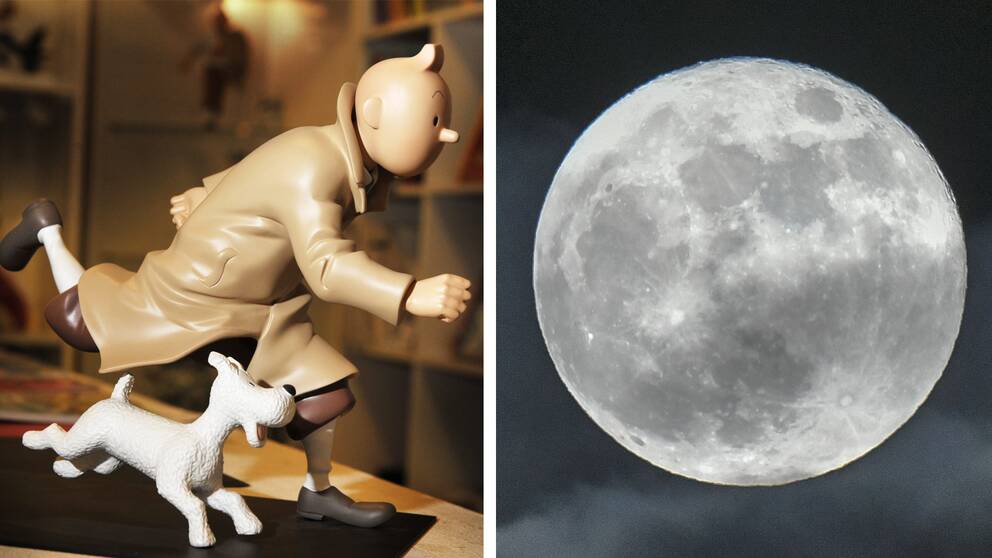 Till vänster: Tintin och Milou. Till höger: supermåne i Malmö 2018.