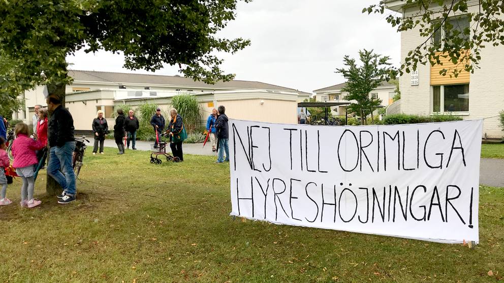 är Du Helt Hundra Svt