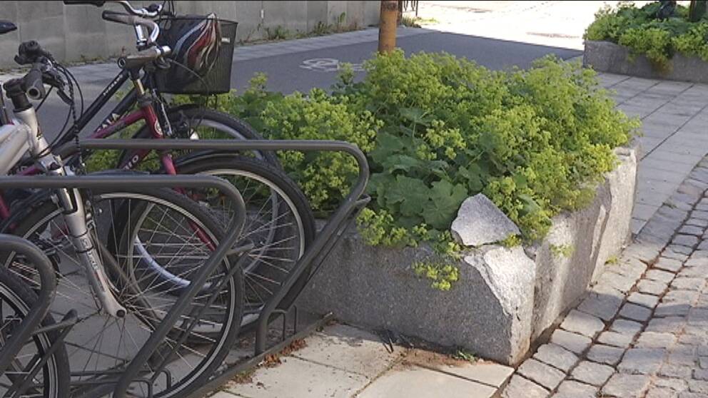 närbild på cykelställ och stenkantad plantering på gata