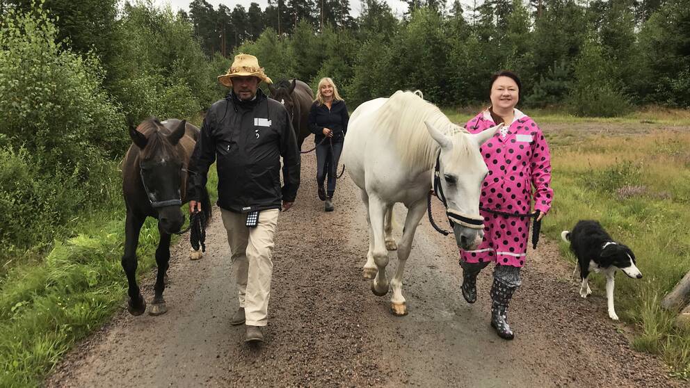 Hästerapi. Hästpromenaderna äger rum i naturen för att skapa lung hos deltagarna. Från vänster: Glenn Henner med hästen Sammy, Henrika Jormfeldt med hästen Manyana och Linda Svensson med hästen Aylah.