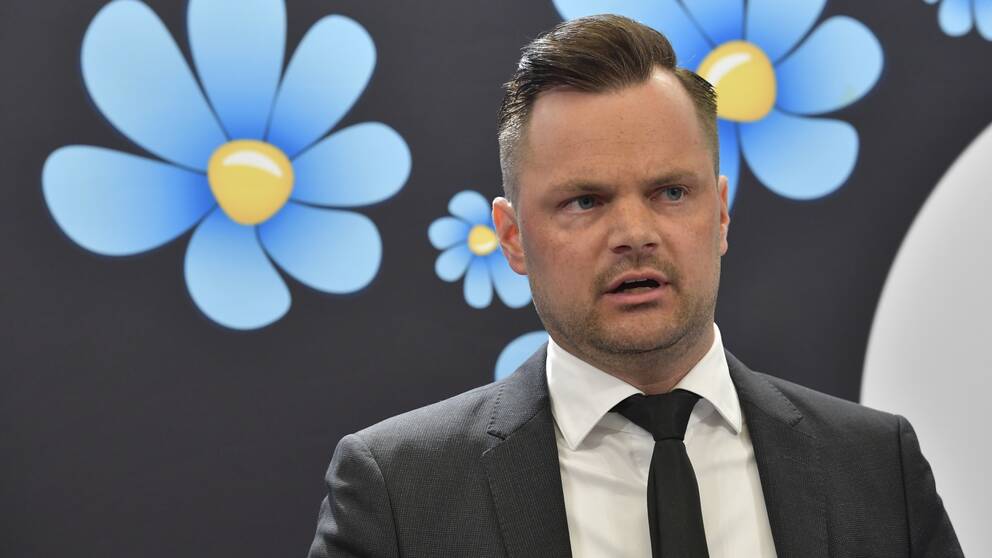 Sverigedemokraternas rättspolitiska talesperson Adam Marttinen