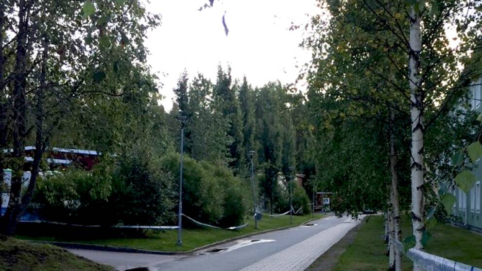 Utredningsarbetet fortsätter efter den misstänkta våldtäkten på Tuna i Luleå.
