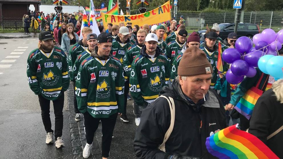 är Du Helt Hundra Svt