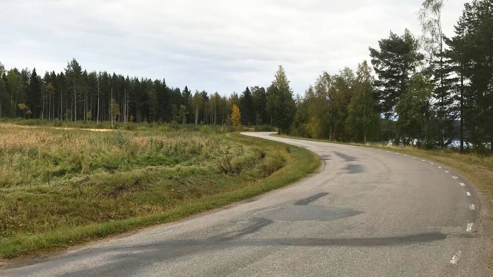 Kurvig väg i Hälsingland.