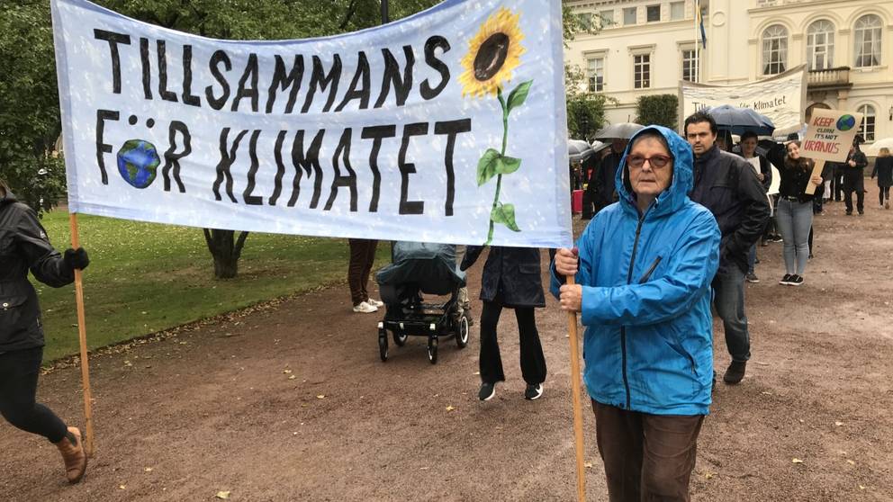 är Du Helt Hundra Svt