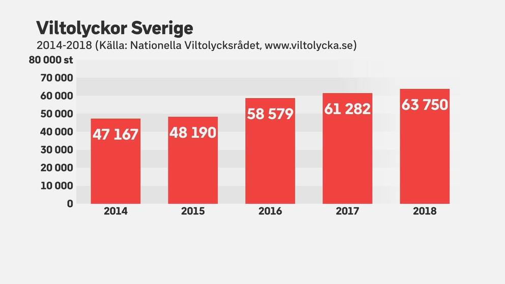 graf som visar att viltolyckorna ökat de senaste fem åren i Sverige