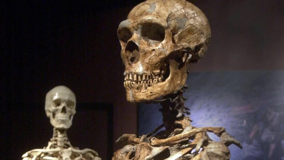 metoder som används för att datera fossil