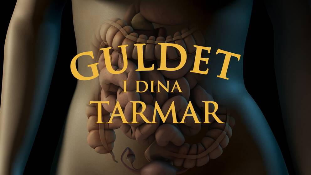 Miljarder tarmbakterier håller oss friska, Vetenskapens värld.