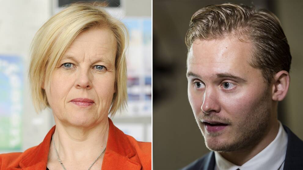 Forskaren Ann-Cathrine Jungar och Sverigedemokraternas integrationspolitiske talesperson Henrik Vinge.