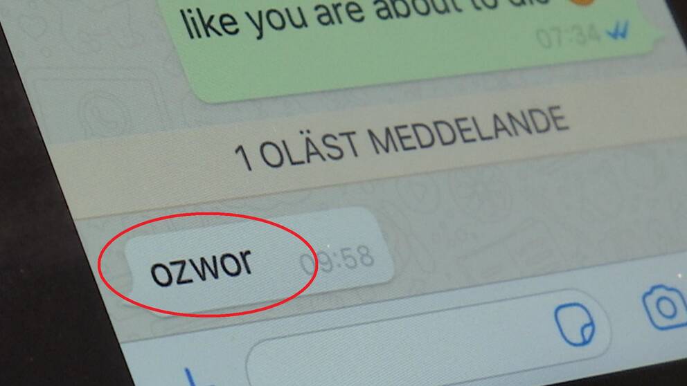 Ordet Som Avslojar Bedragarna Svt Nyheter