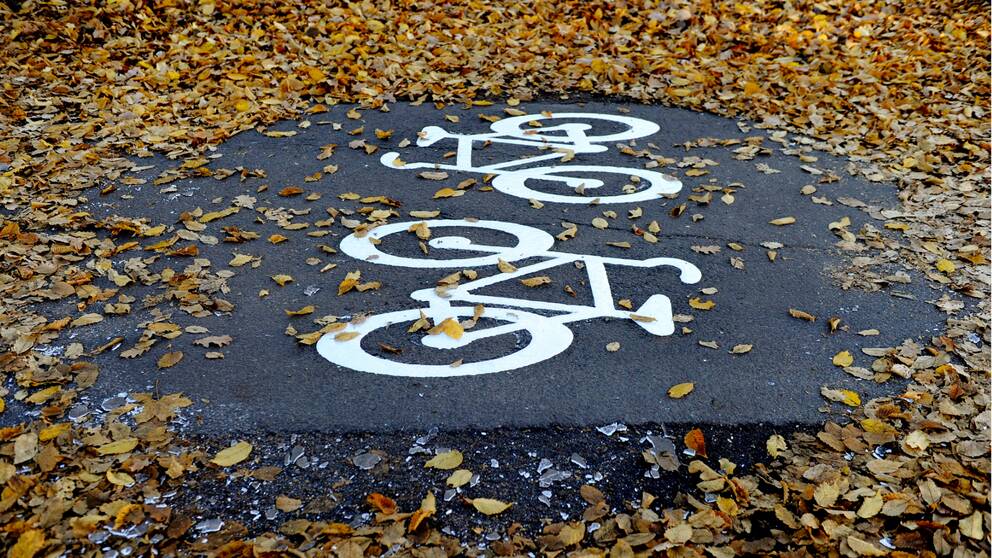 Bild på cykelväg täckt med höstlöv