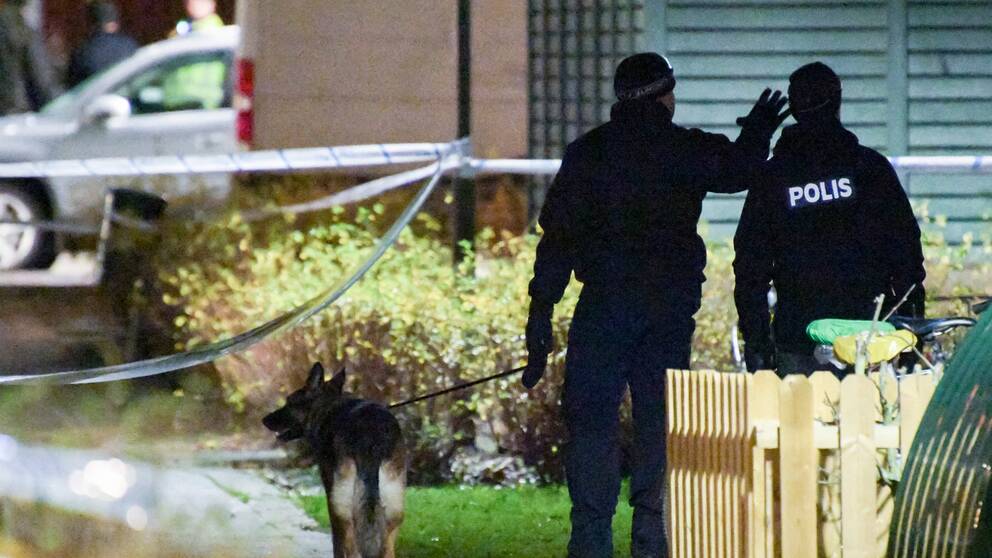 Mord professorsgatan malmö