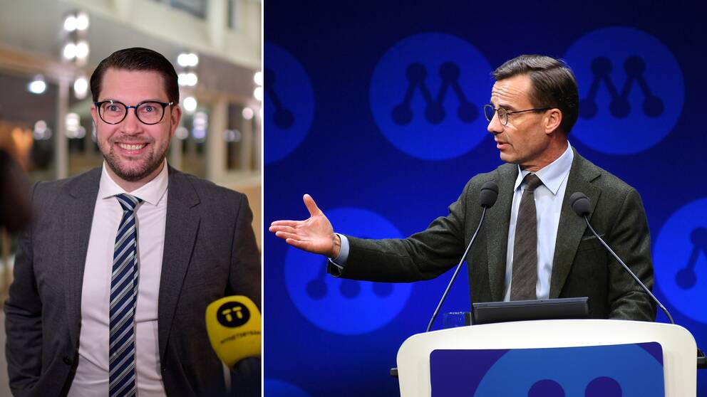”Om Moderaterna någon gång ska kunna ta sig tillbaka till regeringsmakten framstår i dag Sverigedemokraterna som enda vägen dit”, skriver SVT:s Mats Knutson.