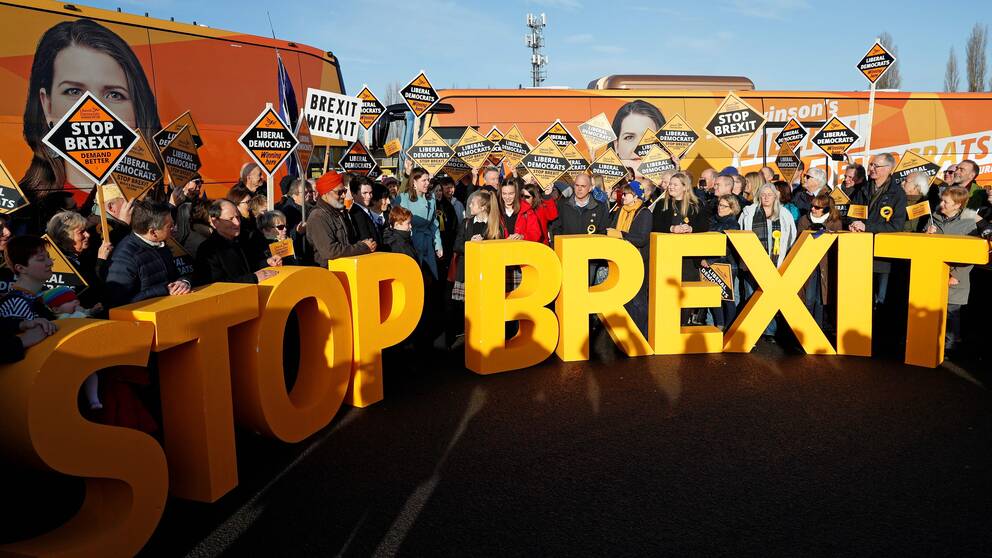 Folksamling står bakom en stor STOP BREXIT skylt