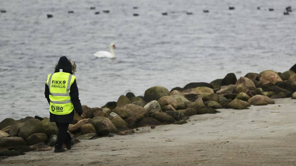 Frivillig från FIKK i gul väst vandrar längs strand