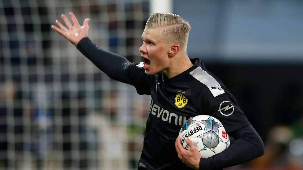 Image result for Håland