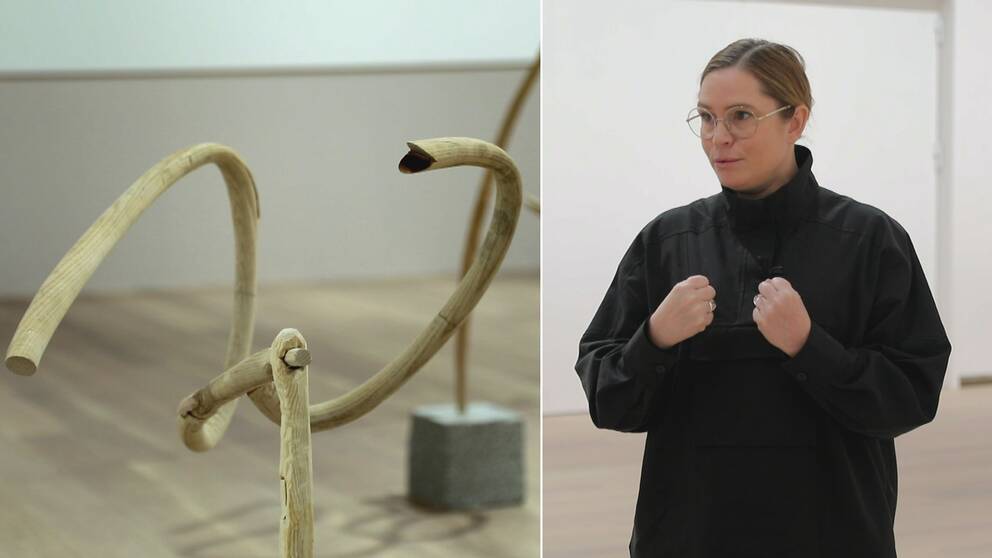 KOnstnären Johanna Gustafsson Fürst böjer och ympar trä för att gestalta hur språk och kultur disciplinerats.