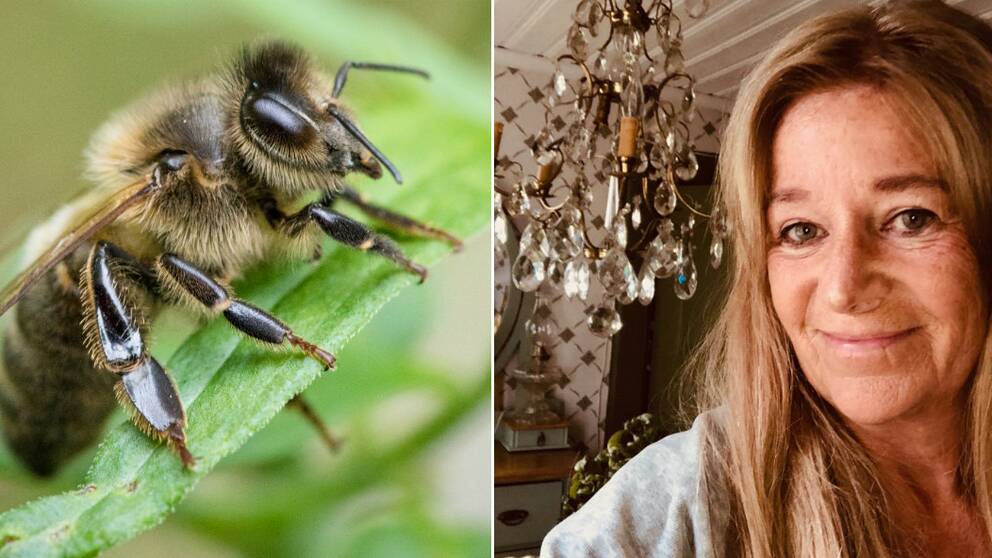 Bi på ett grönt löv. Karin Ljungquist från Upphärad.