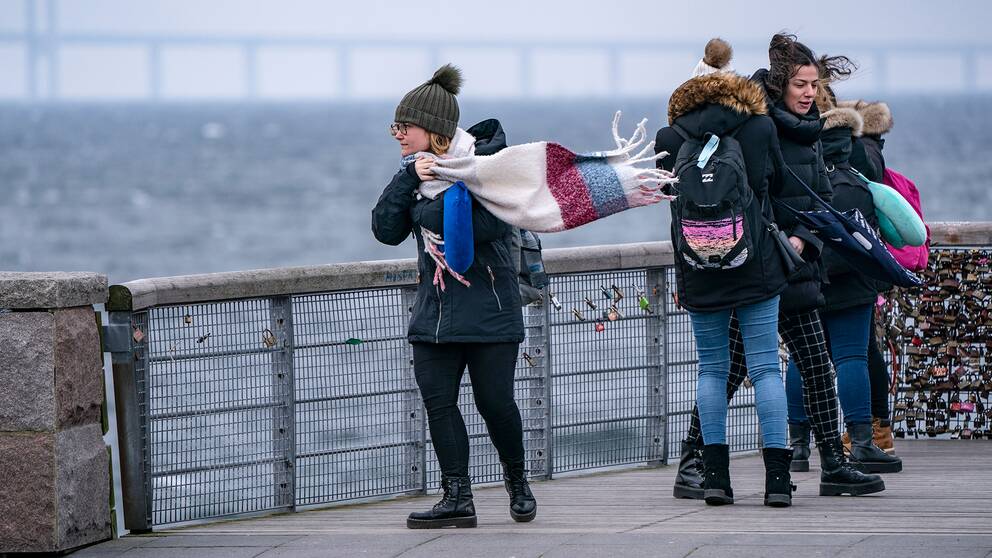 Hårda vindar på Sundspromenaden i Malmö.