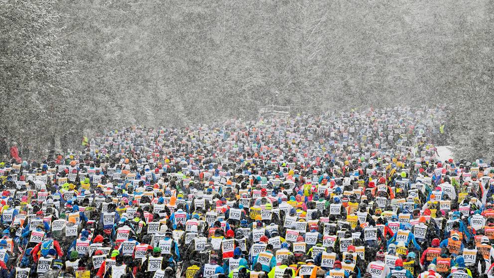 Dalarna | SVT Nyheter