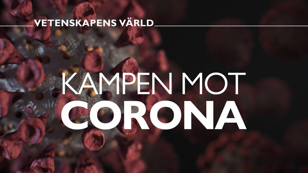 Vetenskapens värld: Kampen mot Corona