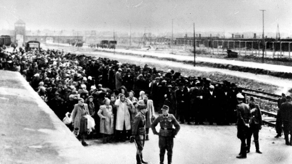 Tätt packade står hundratals fångar och väntar på att föras in till koncentrationslägret Auschwitz.