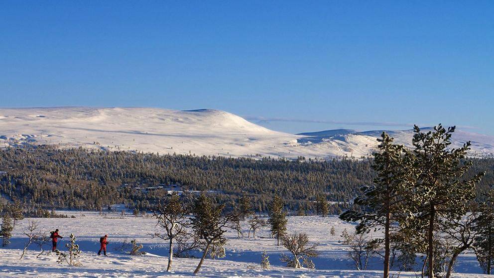 Fjäll i Grövelsjön.