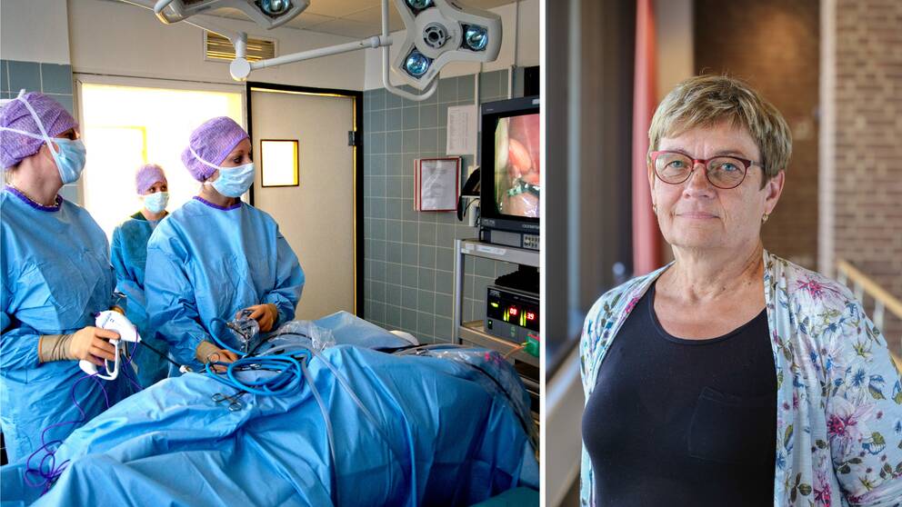 Till vänster en bild från intensivvård och till höger en bild på Kerstin Vikman som är kvalitetschef för Distriktsveterinärerna.