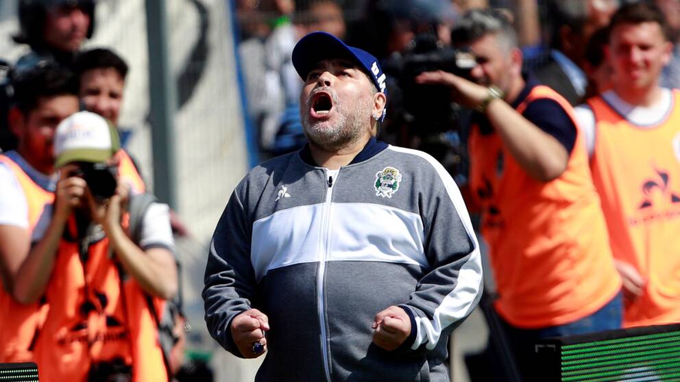Diego Maradona jublar under en ligamatch i september.