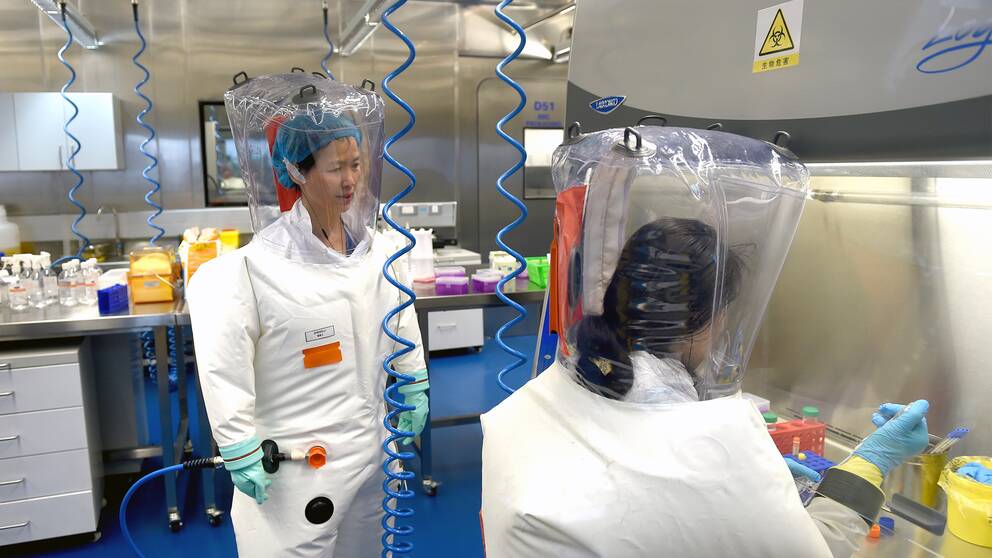 Virologer som arbetar med sjukdomsframkallande virus i Wuhans institut för virologi.