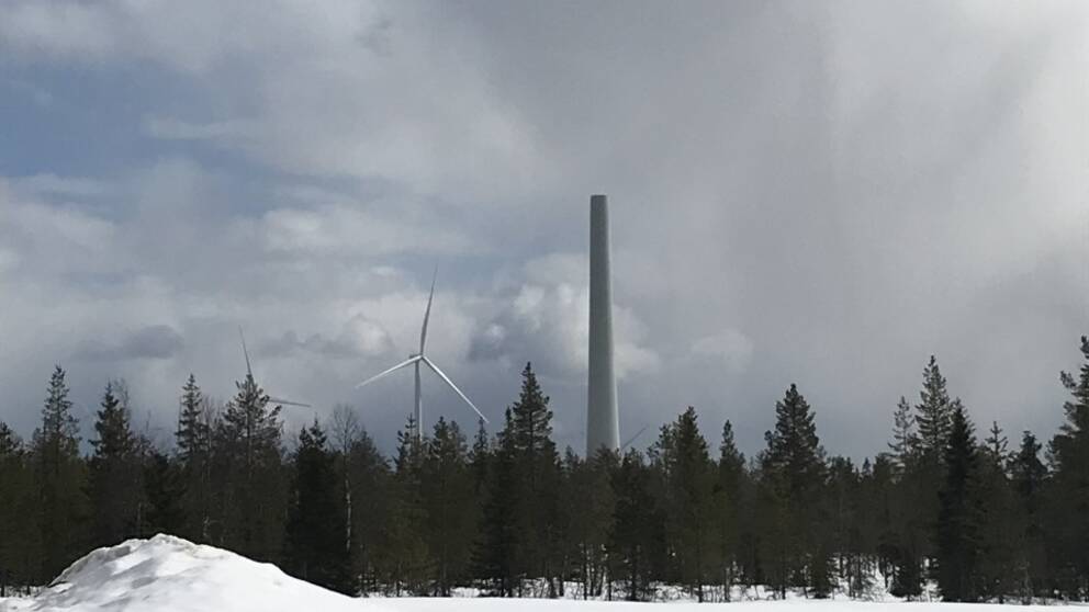 Tornet efter vindkrafthaveriet sticker upp ur en skog.