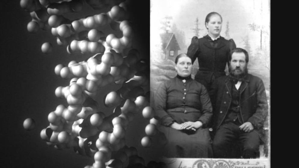 Dna prov släktforskning