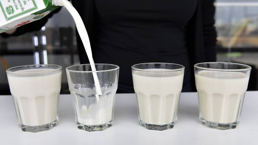 Fyra mjölkglas varav ett fylls på från ett mjölkpaket.