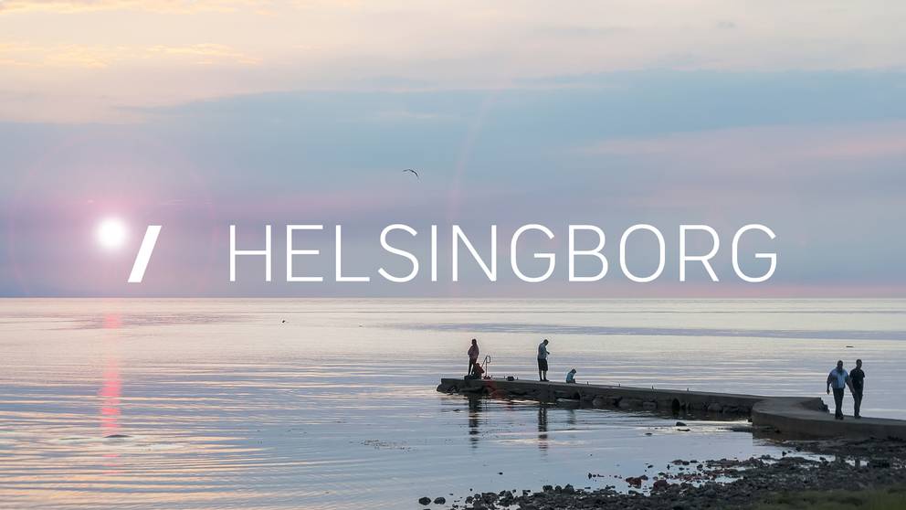 Nio danska NMR sympatisörer stoppades i Helsingborg | SVT Nyheter
