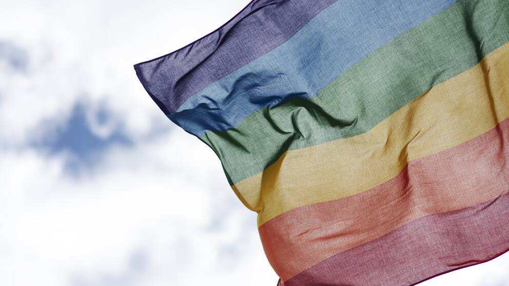En prideflagga.
