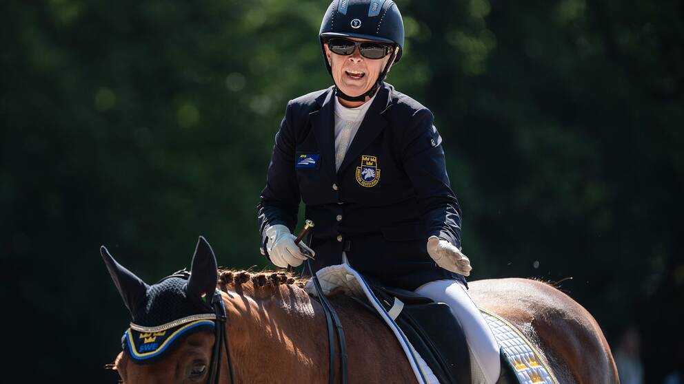 Dubbla medaljören från Rio 2016 Louise Etzner Jakobsson står utan häst ett år före Paralympics.
