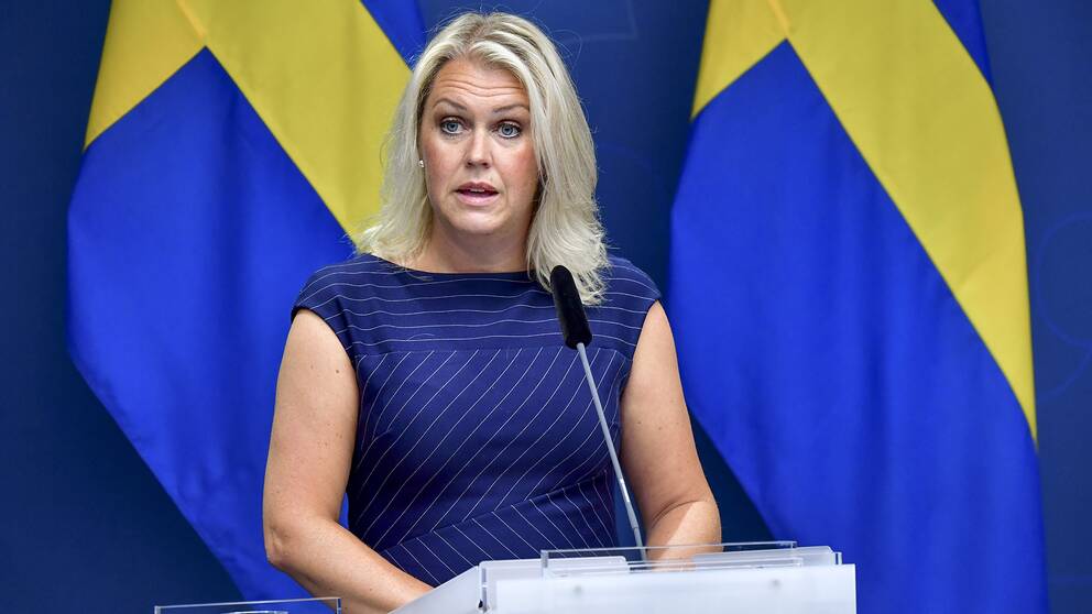 Lena Hallengren S Regeringen Tillsatter Varddelegation Svt Nyheter