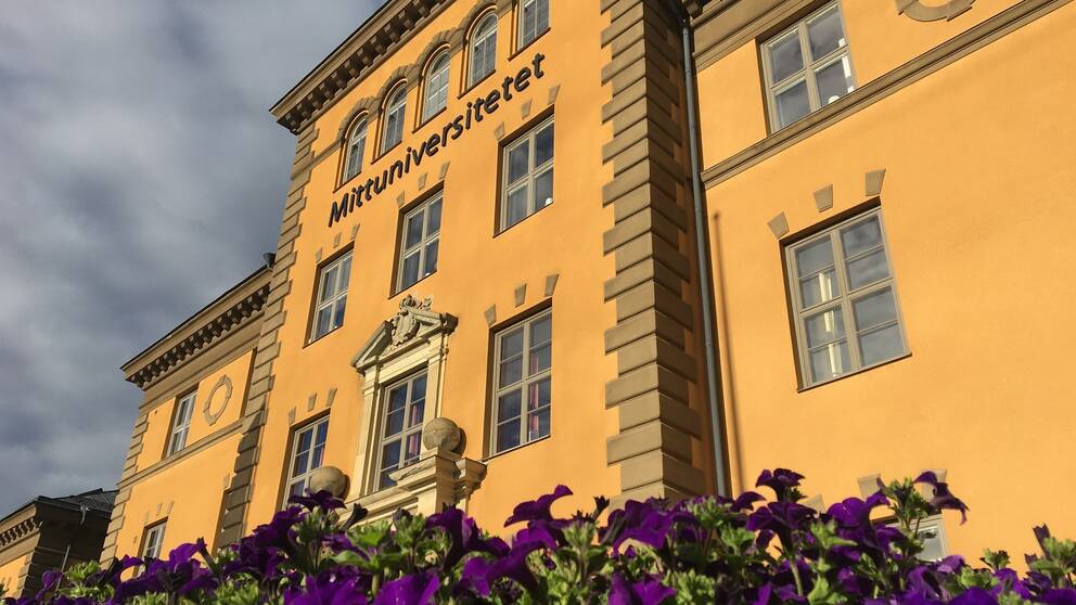 Bild på gul stenbyggnad med texten Mittuniversitetet. I förgrunden lila petunior.