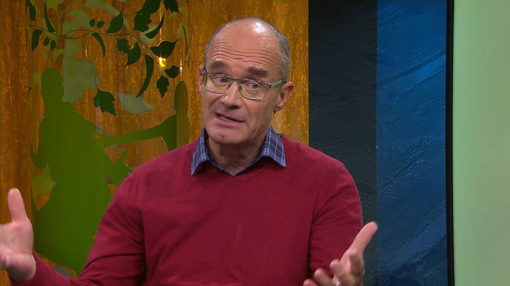 Bertil Axelsson, professor i palliativ medicin.