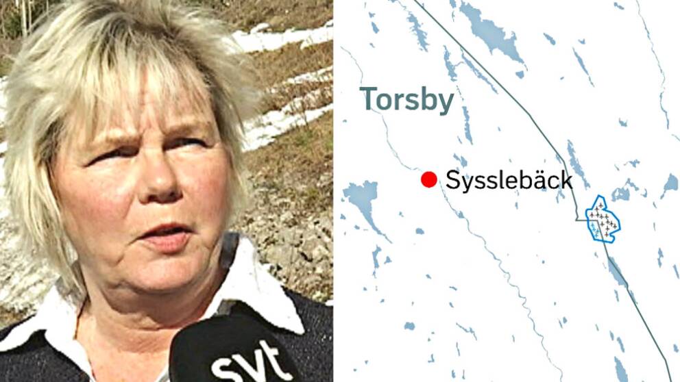 Birgitta Karstensson, miljöpartistisk politiker i Torsby kommun, är emot projektet.