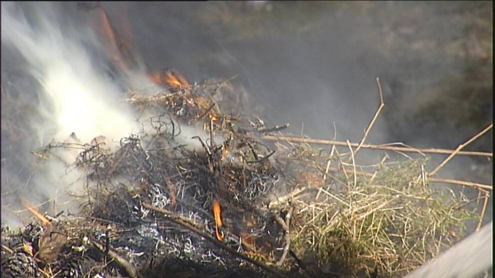 Arkivbild gräsbrand
